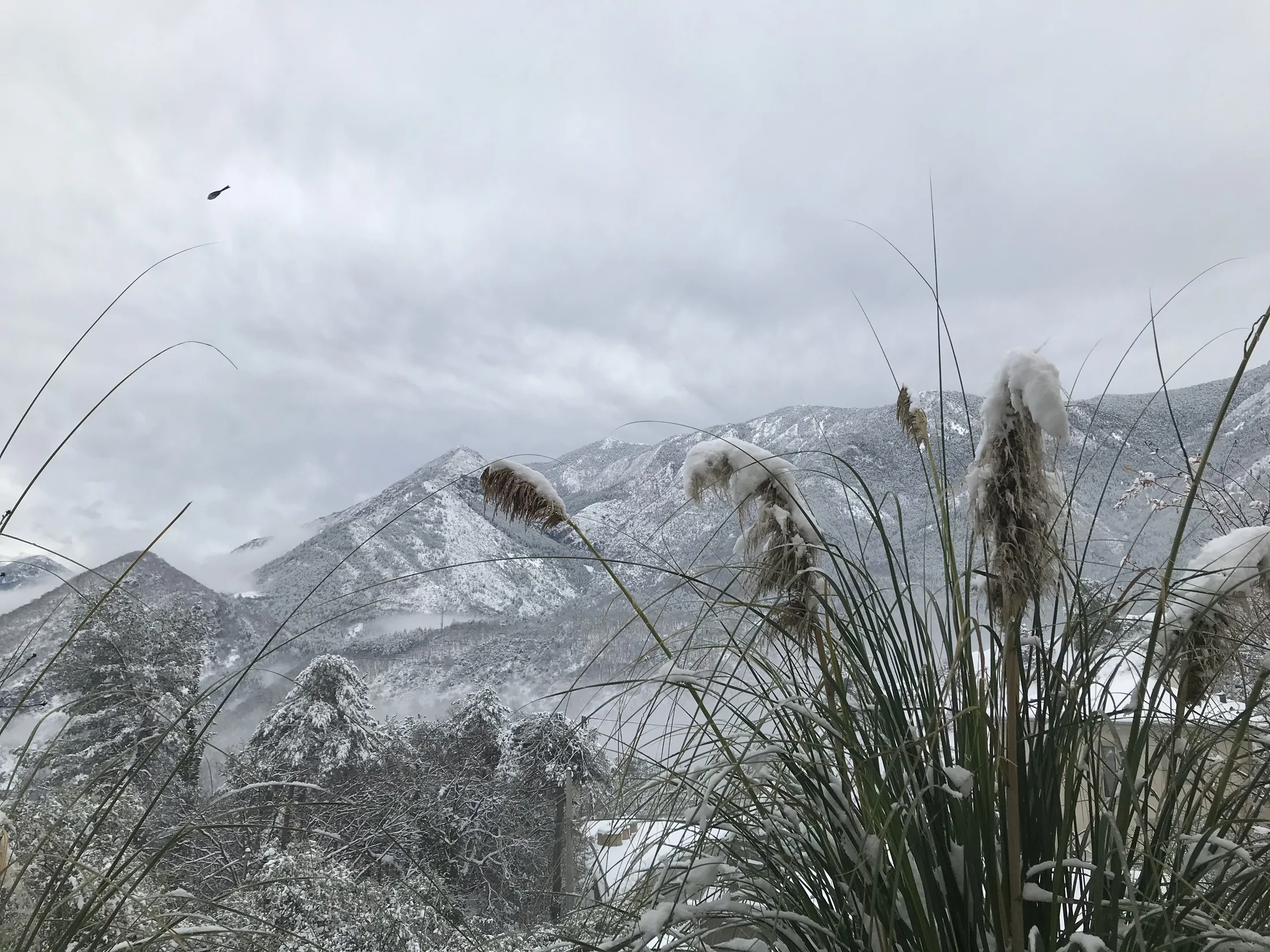 Vue panoramique sous la neige de la Villa Charlène, située à Massoins, avec les montagnes en arrière-plan et un domaine privé d'un hectare.